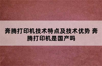 奔腾打印机技术特点及技术优势 奔腾打印机是国产吗